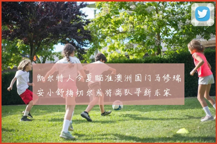 凯尔特人今夏瞄准澳洲国门马修瑞安小舒梅切尔或将离队寻新东家